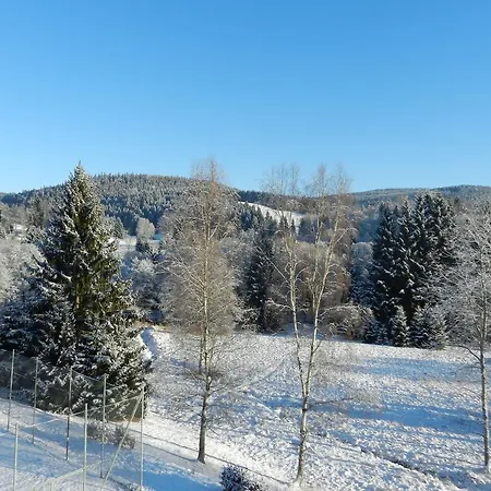Chata Orlice Guest house *